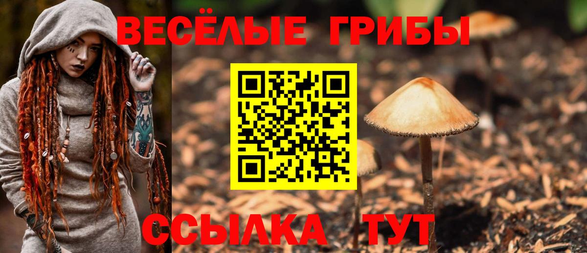 Галлюциногенные грибы Cubensis Ачхой-Мартан