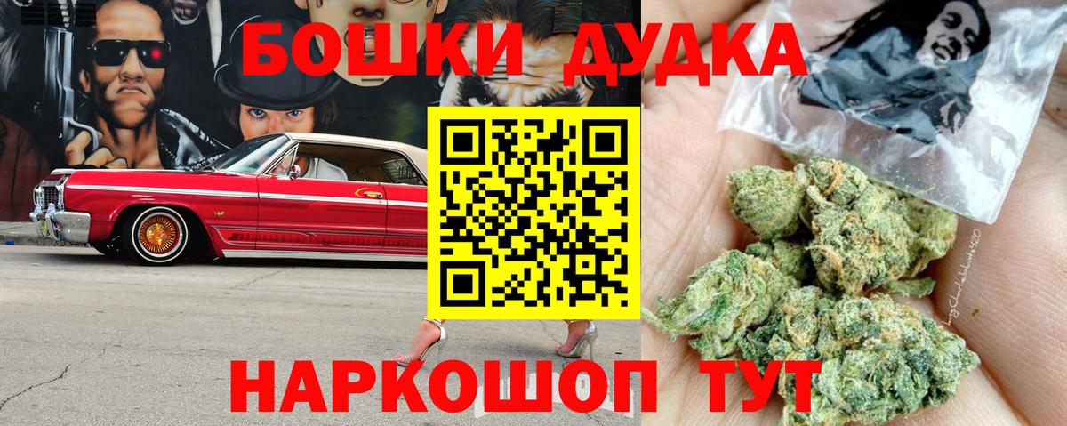Марихуана план  Каннабис планчик  Ачхой-Мартан  Вход с VPN 